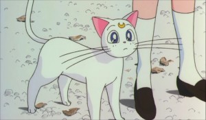 SailormoonS-movie (867).jpg