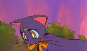 SailormoonS-movie (919).jpg
