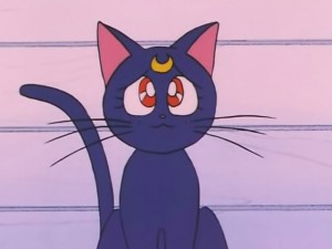 screenshot-anime-sailor-moon-s-episode-093-112.jpg