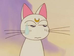 screenshot-anime-sailor-moon-s-episode-100-032.jpg