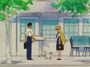 screenshot-anime-sailor-moon-s-episode-100-131.jpg