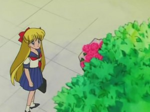 screenshot-anime-sailor-moon-s-episode-100-435.jpg