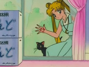 screenshot-anime-sailor-moon-s-episode-107-108.jpg