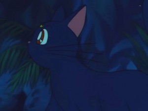 screenshot-anime-sailor-moon-s-episode-116-322.jpg