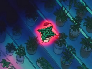 screenshot-anime-sailor-moon-s-episode-121-126.jpg