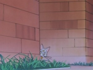screenshot-anime-sailor-moon-super-s-episode-146-257.JPG