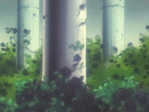 screenshot-anime-sailor-moon-super-s-episode-165-255.jpg