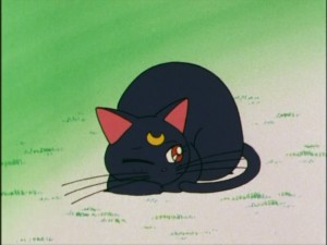 SailorMoon-s1-005(463).jpg