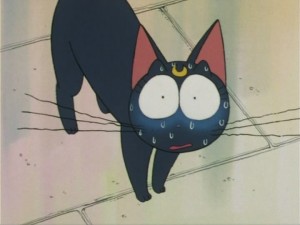 SailorMoon-s1-006(238).jpg