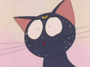SailorMoon-s1-008(332).JPG