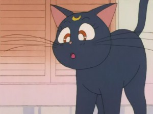 SailorMoon-s1-008(89).JPG