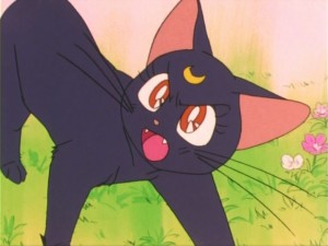 SailorMoon-s1-011(298).jpg