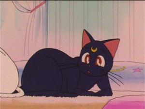 SailorMoon-s1-038(90).JPG