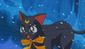 SailormoonS-movie (1693).jpg