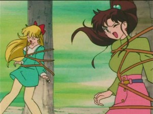 screenshot-anime-sailor-moon-s-episode-090-379.JPG