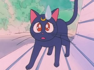 screenshot-anime-sailor-moon-s-episode-093-121.jpg