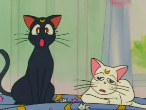 screenshot-anime-sailor-moon-s-episode-107-014.jpg