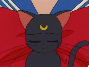 screenshot-anime-sailor-moon-s-episode-117-019.jpg