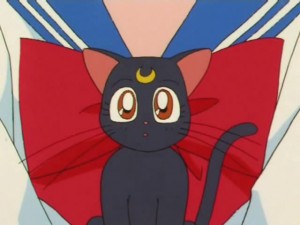 screenshot-anime-sailor-moon-s-episode-117-021.jpg