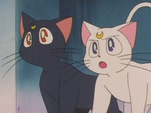 screenshot-anime-sailor-moon-s-episode-125-353.JPG