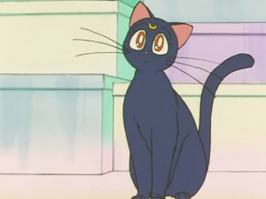 screenshot-anime-sailor-moon-s-episode-127-088.jpg