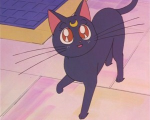 SailorMoon-s1-002(239).JPG