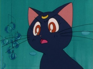 SailorMoon-s1-005(401).jpg