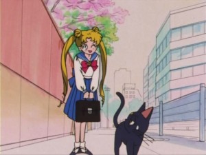 SailorMoon-s1-005(88).jpg