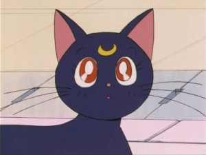 SailorMoon-s1-005(95).jpg