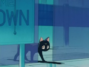 SailorMoon-s1-008(106).JPG