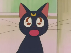 SailorMoon-s1-008(508).JPG