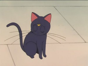 SailorMoon-s1-026(94).JPG