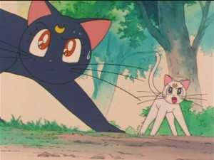 screenshot-anime-sailor-moon-s-episode-090-382.JPG
