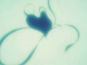 screenshot-anime-sailor-moon-s-episode-095-328.jpg