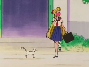 screenshot-anime-sailor-moon-s-episode-100-029.jpg