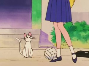 screenshot-anime-sailor-moon-s-episode-100-034.jpg