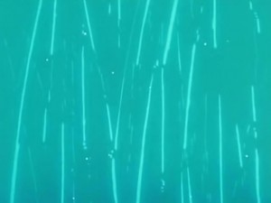 screenshot-anime-sailor-moon-s-episode-103-381.jpg