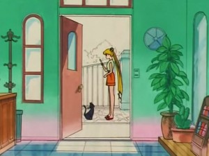screenshot-anime-sailor-moon-s-episode-105-075.jpg