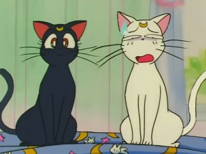 screenshot-anime-sailor-moon-s-episode-107-015.jpg