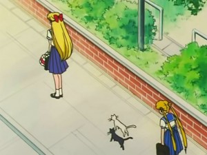 screenshot-anime-sailor-moon-s-episode-109-135.jpg