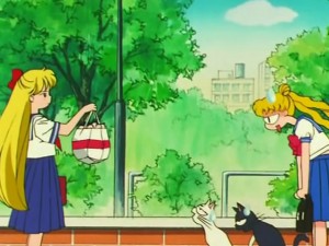 screenshot-anime-sailor-moon-s-episode-109-140.jpg