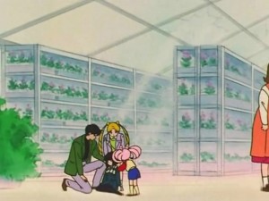 screenshot-anime-sailor-moon-s-episode-116-503.jpg
