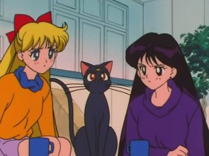 screenshot-anime-sailor-moon-s-episode-120-049.jpg