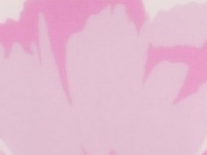 screenshot-anime-sailor-moon-s-episode-123-039.JPG
