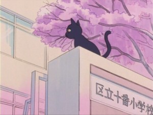 SailorMoon-s1-005(121).jpg