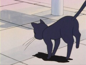 SailorMoon-s1-005(128).jpg