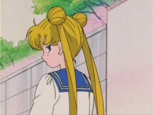 SailorMoon-s1-005(310).jpg