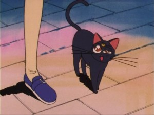 SailorMoon-s1-006(227).jpg