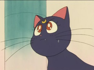 SailorMoon-s1-026(228).JPG