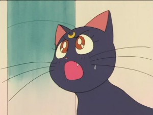 SailorMoon-s1-026(230).JPG